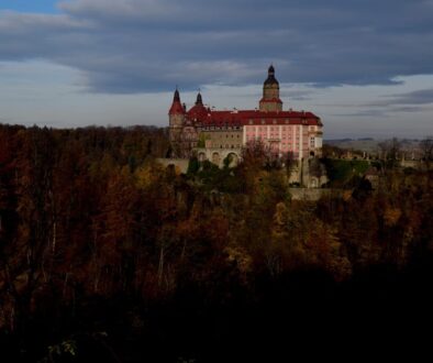 castle lower silesia forest woods 6784796