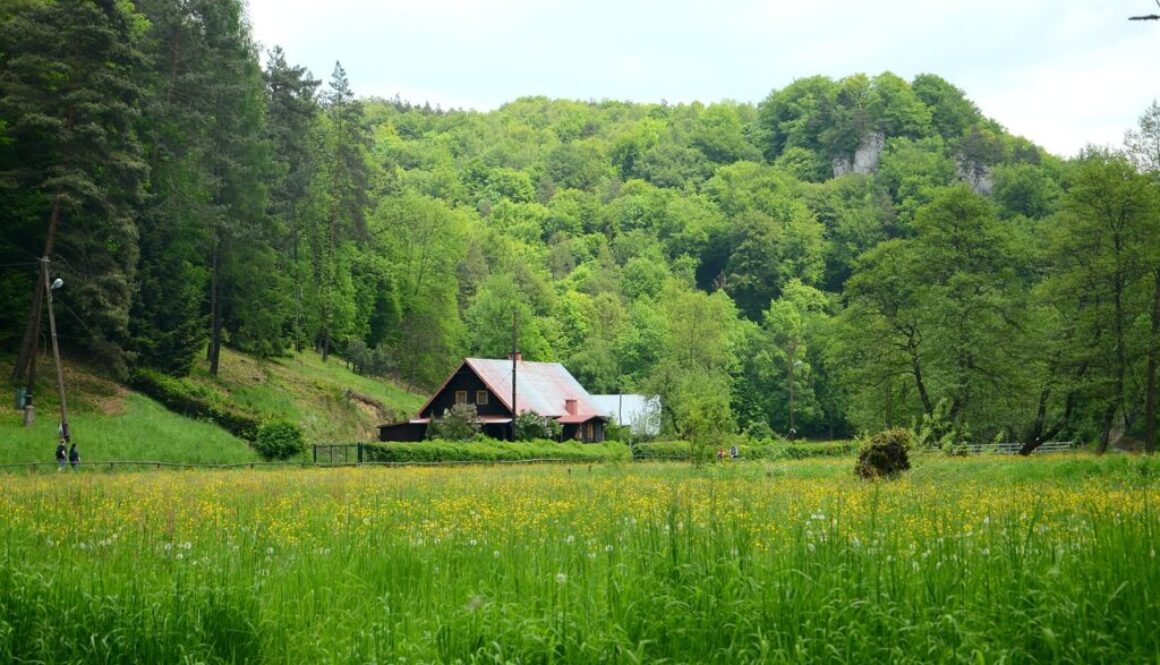 cottage forest meadow poland 1407306