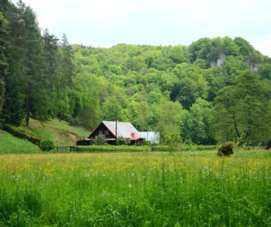 cottage forest meadow poland 1407306