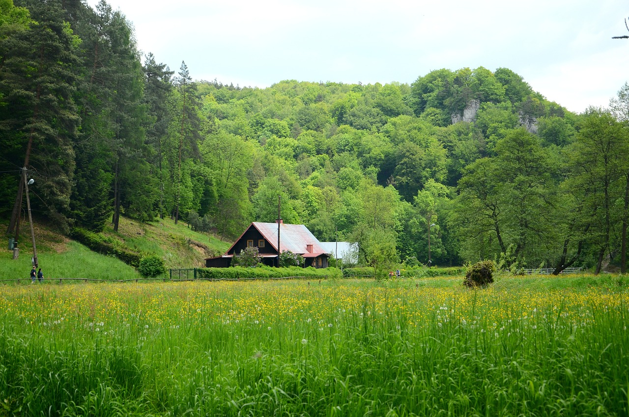 cottage forest meadow poland 1407306